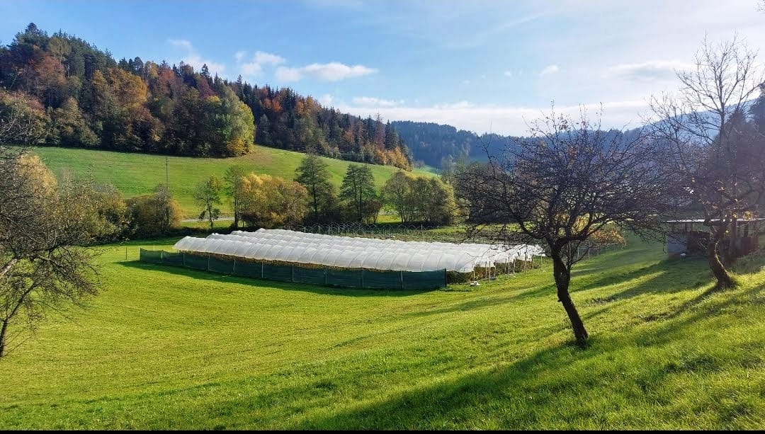 Kmetija Florjan Slovenj Gradec