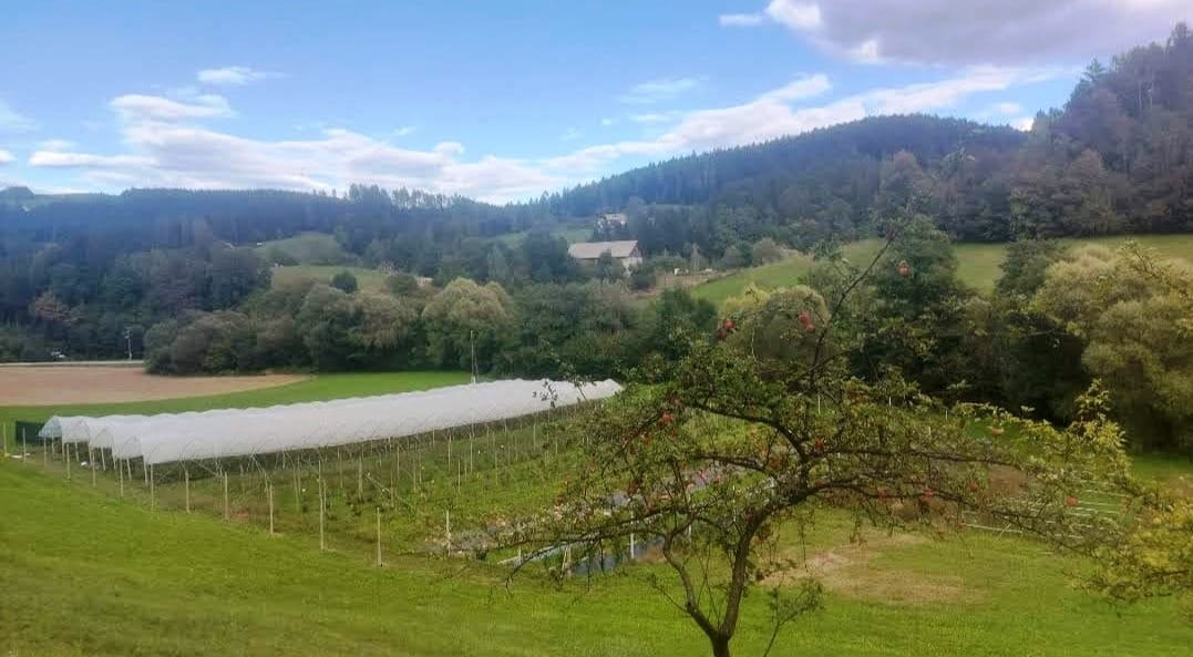 Kmetija Florjan Slovenj Gradec