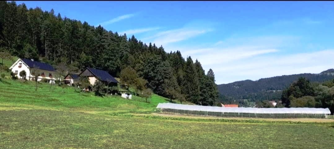 Kmetija Florjan Slovenj Gradec